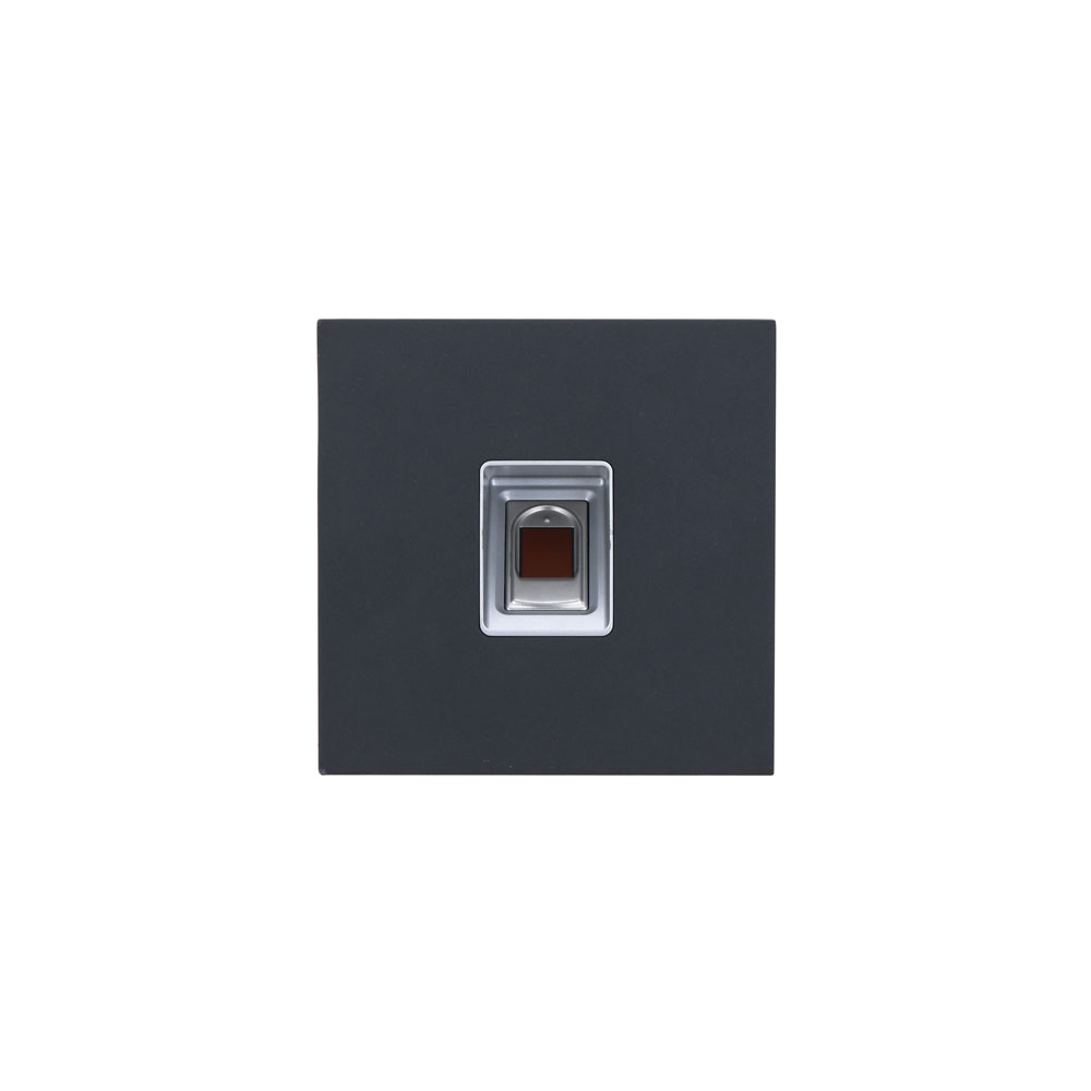Dahua DHI-VTO4202FB-MF