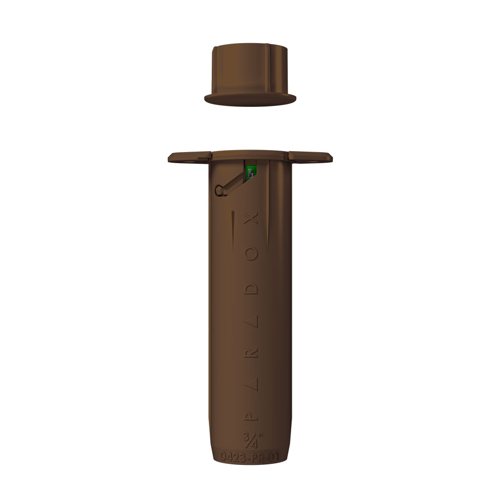 Paradox DCT6_BROWN