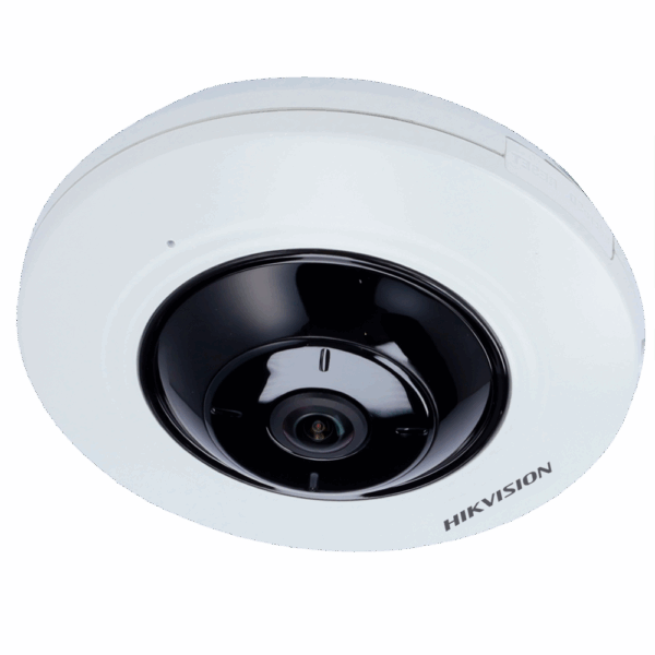 HIKVISION PRO DS-2CD2955G0-ISU(1.05mm)